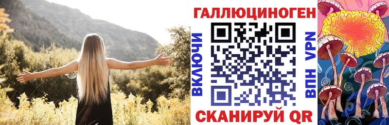 Галлюциногенные грибы Psilocybine cubensis  Купить где  Сертолово 
