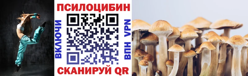 Галлюциногенные грибы Magic Shrooms Сертолово